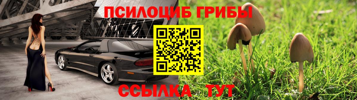 Псилоцибиновые грибы прущие грибы Краснодар