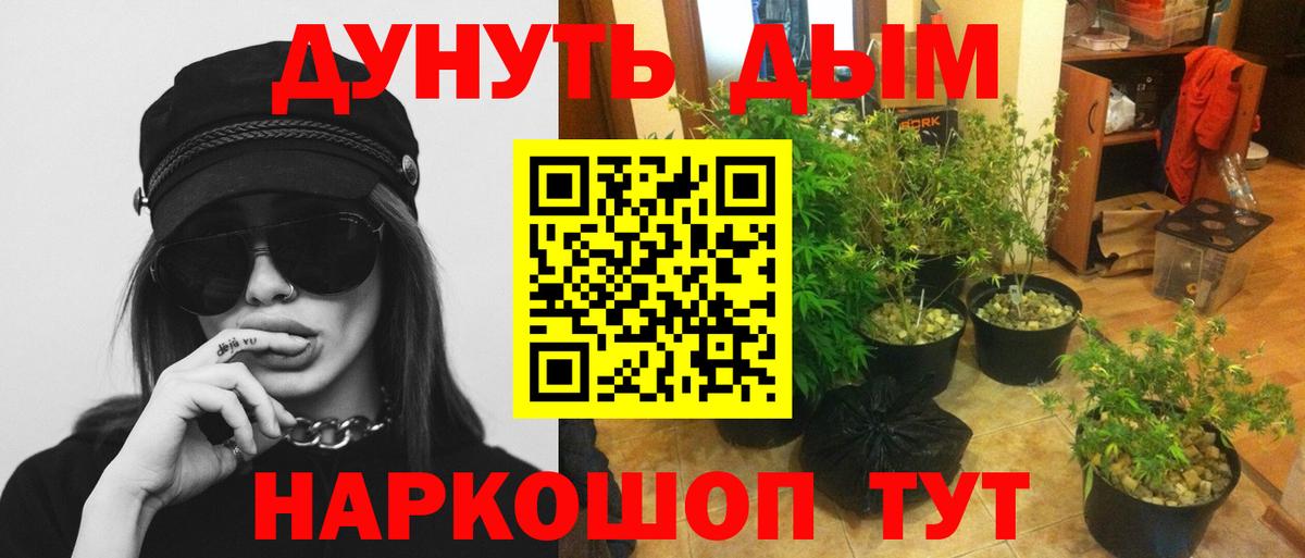 Марихуана семена  Канабис планчик  Вход с VPN  Марихуана AK-47  Краснодар 